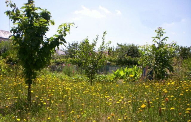 Zakwaterowanie U Rodziny Saint-Pierre-des-Corps 21372