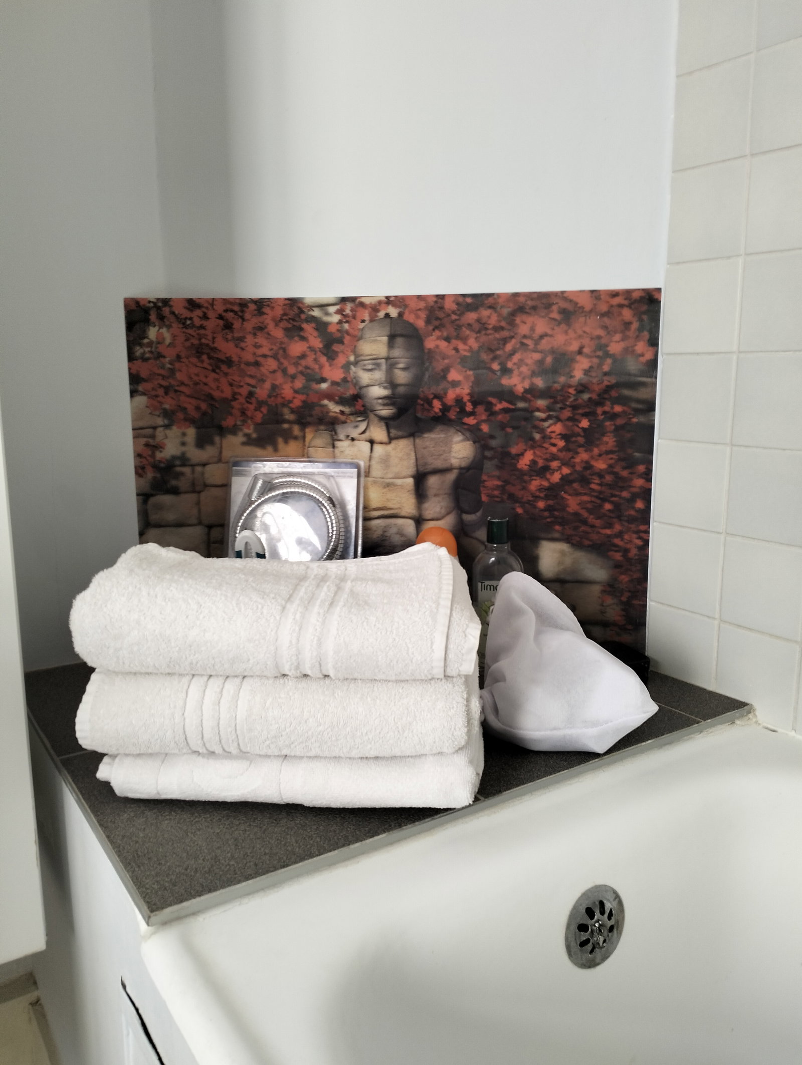 Cały Dom Uccle 383151