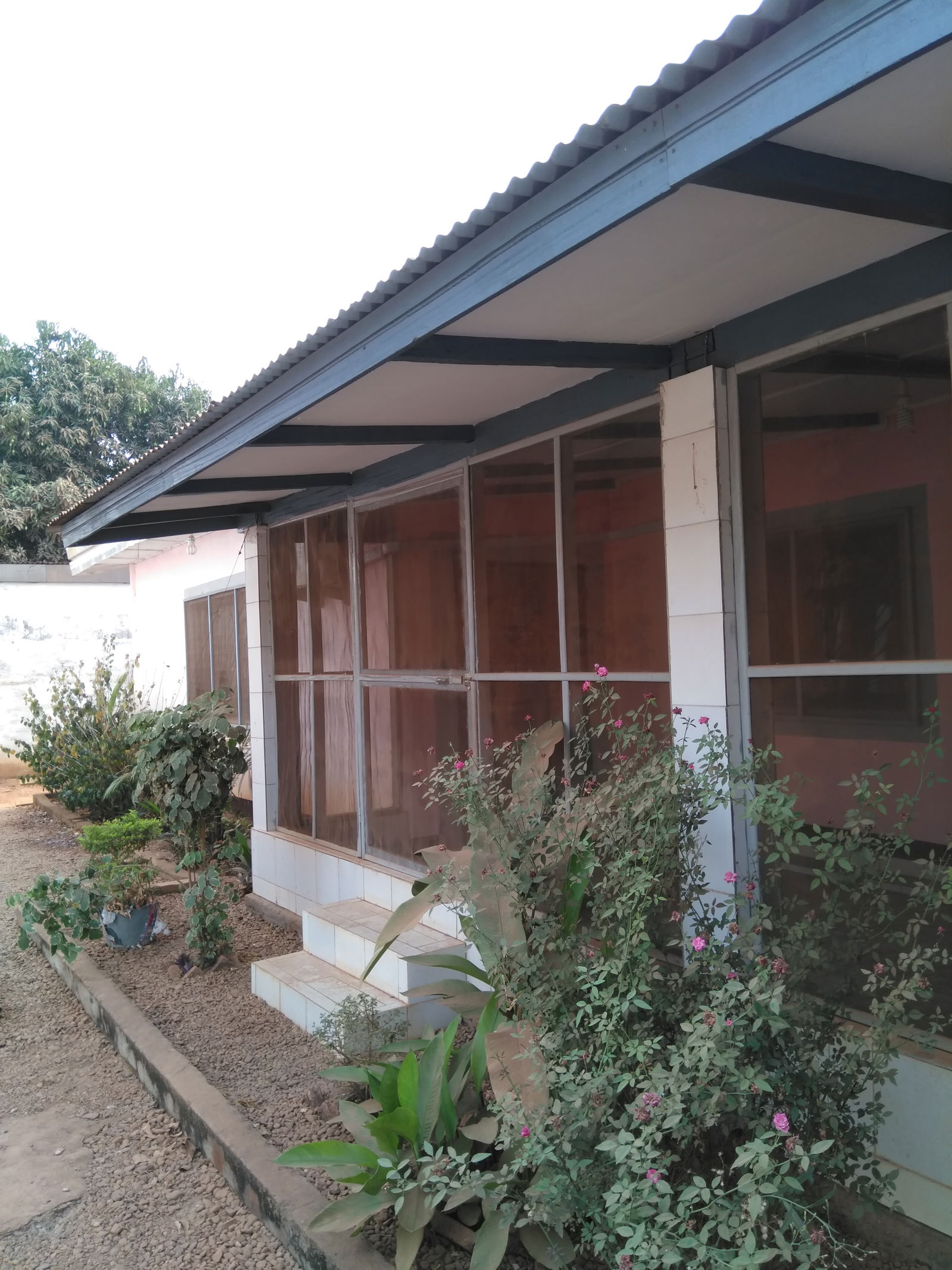 Niezależne Studio Bangui 145510