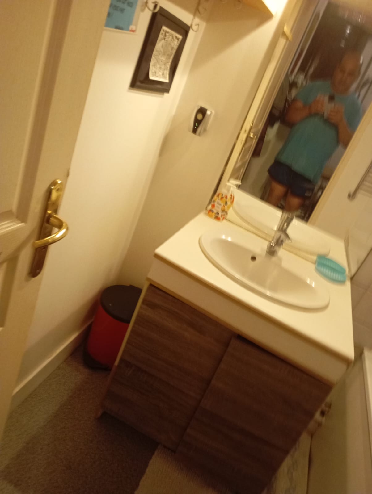 Kolokacja Bordeaux 428051