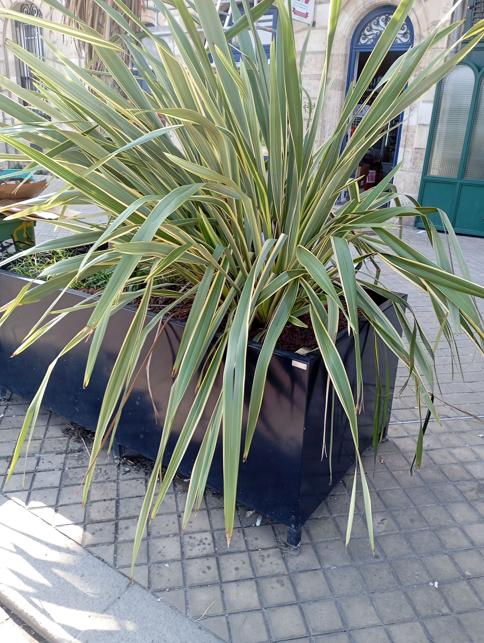 Kolokacja Bordeaux 428051