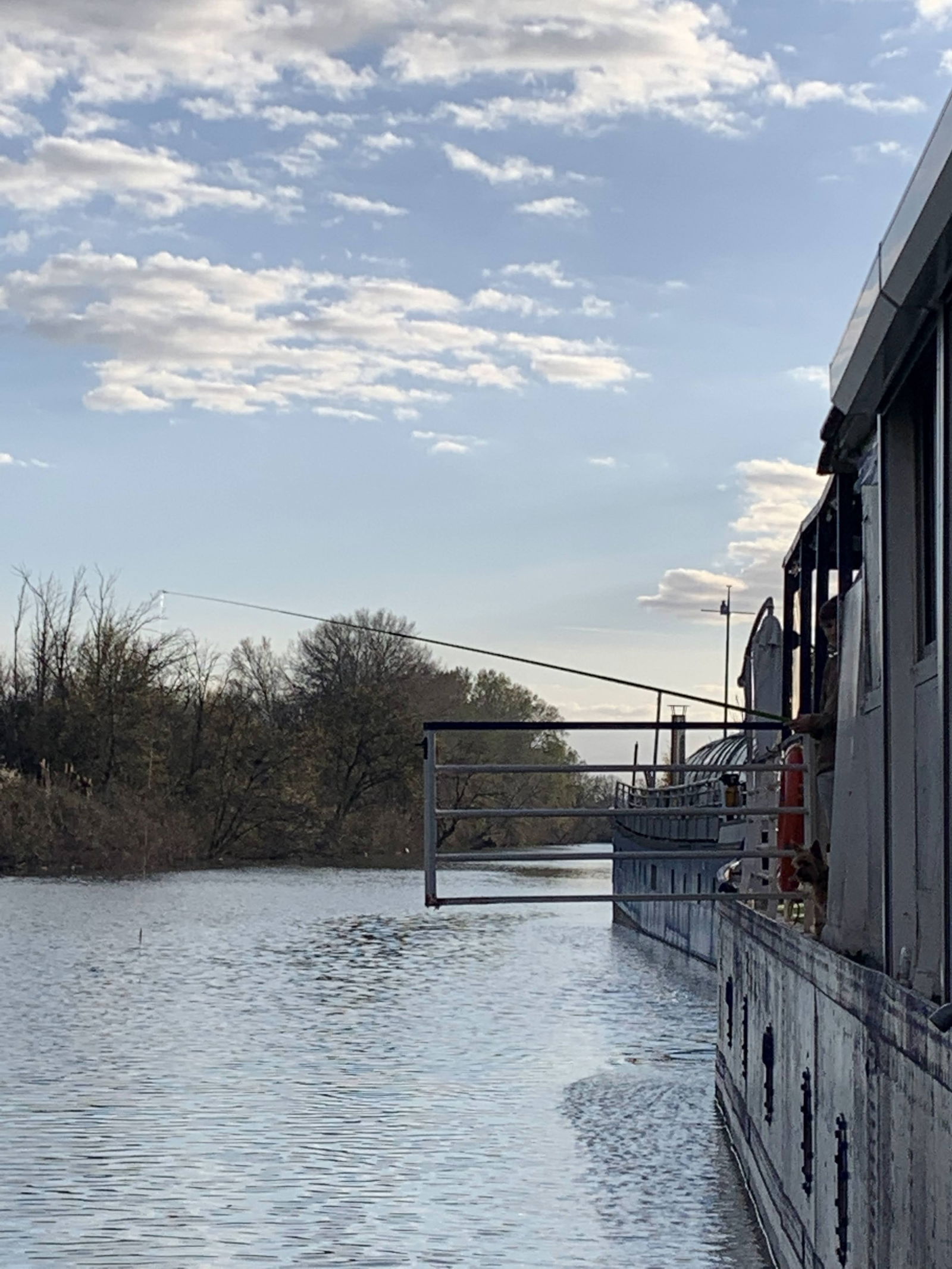 Famiglia Arles 258382