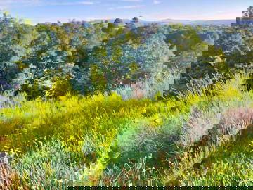 Homestay Nébouzat 271513-6