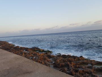 Chambre Chez L'habitant La Habana 172577-10