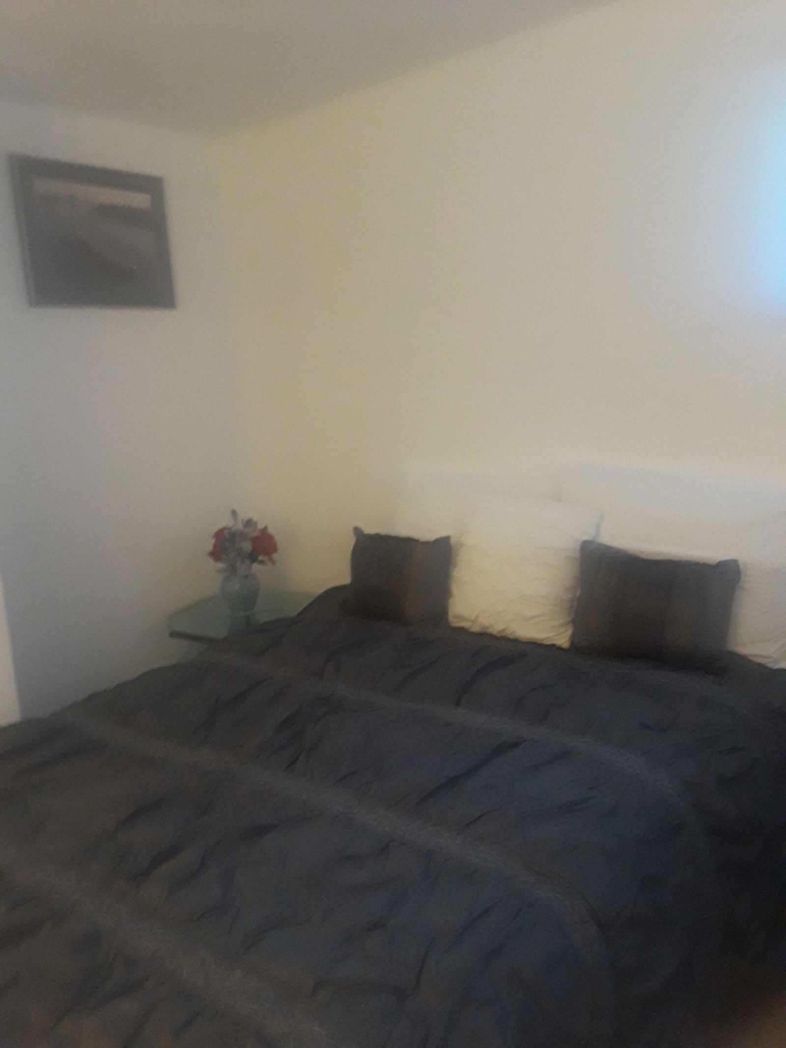Homestay Detroit 205696