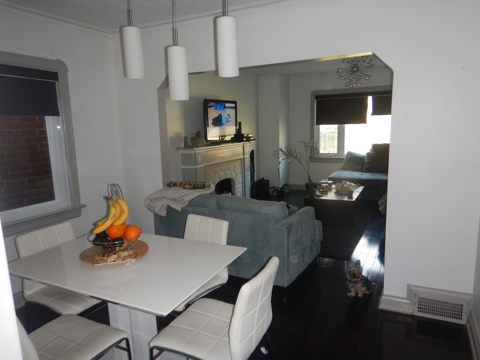 Homestay Toronto 167412