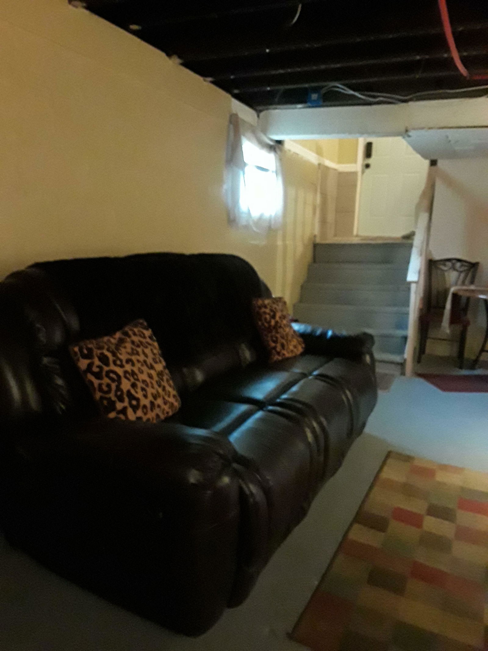 Gastfamilie Detroit 205696