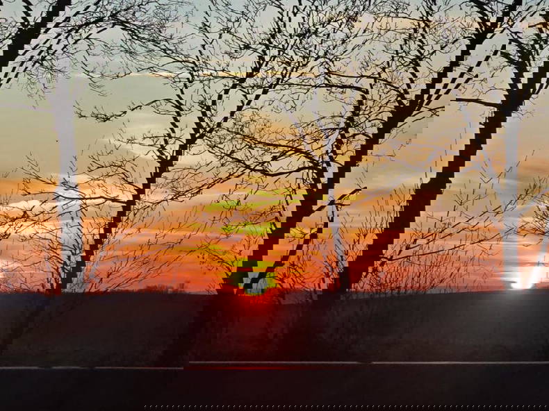 Gastfamilie Bassersdorf 527751-1