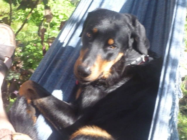 Quedarse En Casa Le Tholonet 49447-3