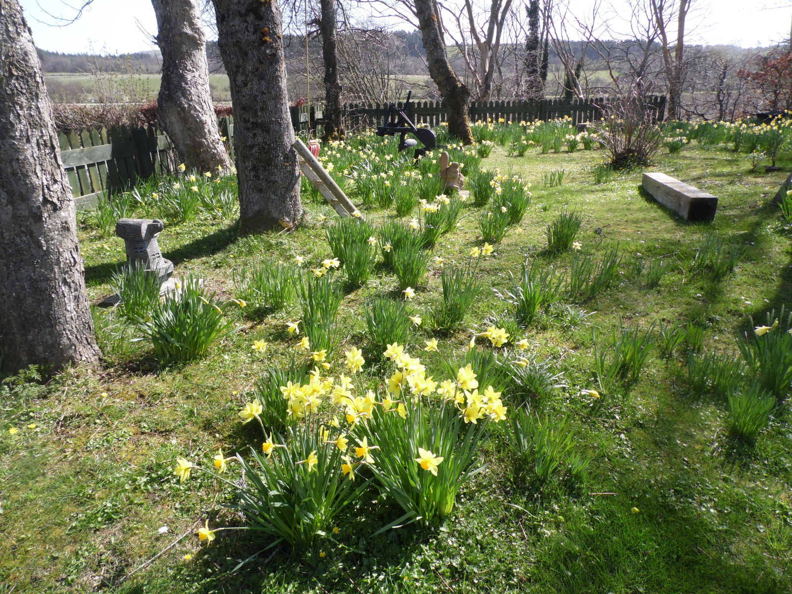 Gastfamilie Milltown of Rothiemay 155397