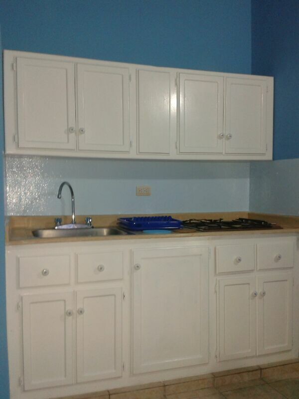 Estudio Independiente Dominicus 81535