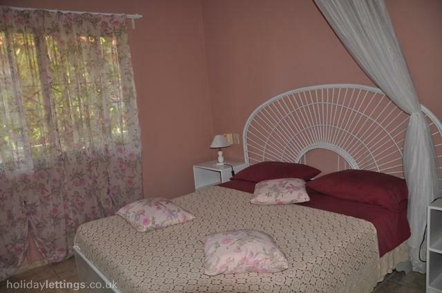 Estudio Independiente Dominicus 81535