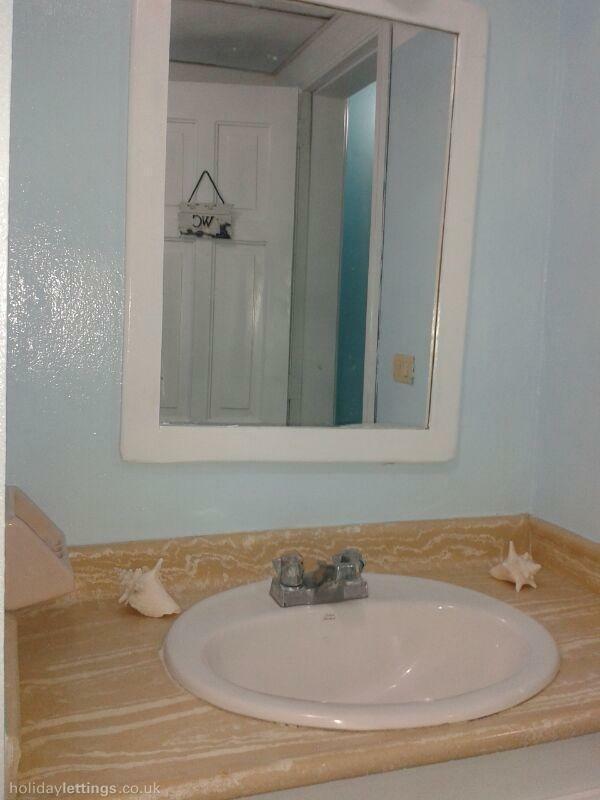 Estudio Independiente Dominicus 81535