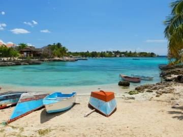 Logement Entier Dominicus 81544-12