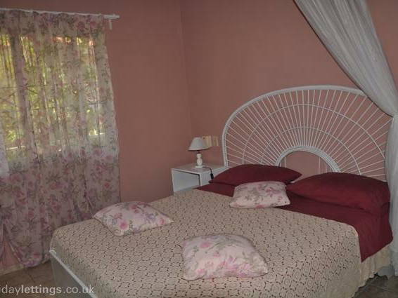 Chambre À Louer Dominicus 81535