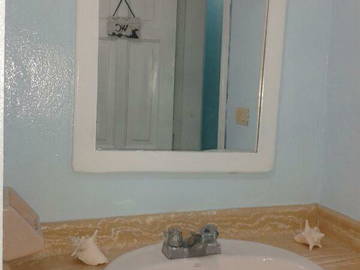 Logement Entier Dominicus 81535-11