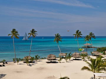 Logement Entier Dominicus 81576-5