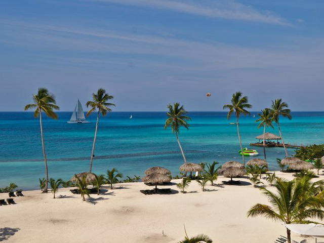 Logement Entier Dominicus 81576-5