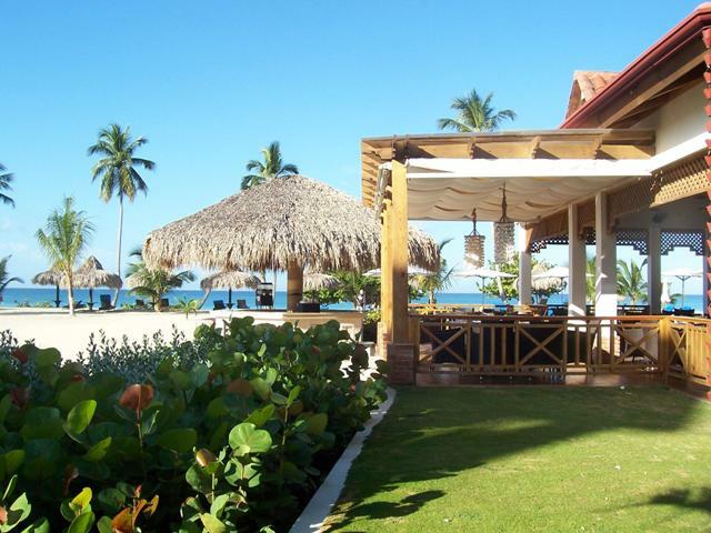 Independent Studio Dominicus 81576