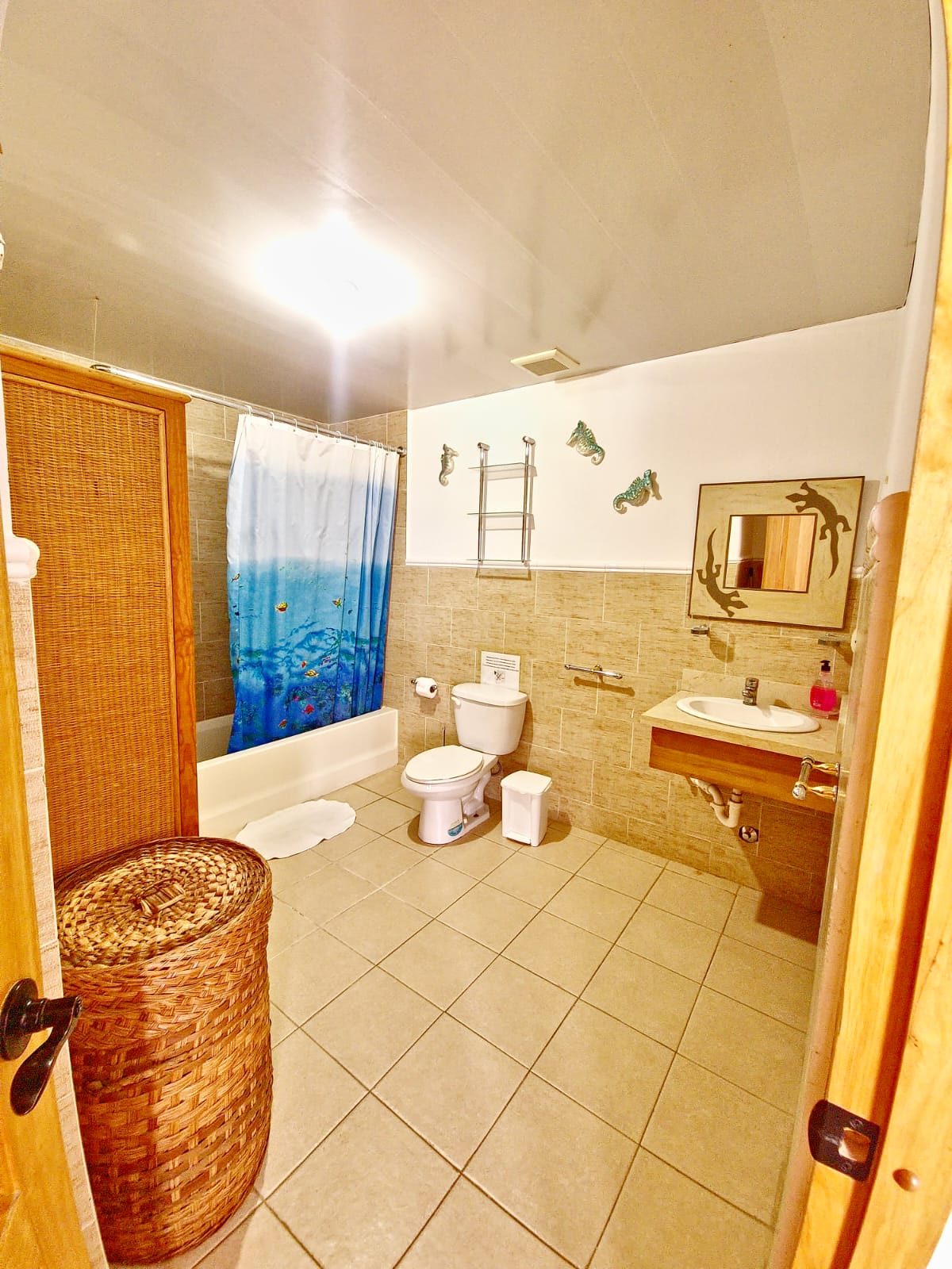 Independent Studio Dominicus 81576