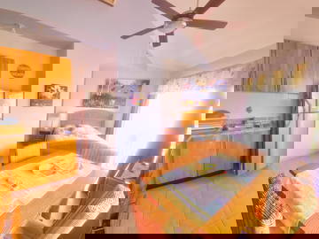 Logement Entier Dominicus 81576-15