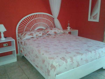 Logement Entier Dominicus 81523-8