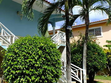 Logement Entier Dominicus 81523-10