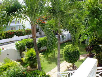 Logement Entier Dominicus 81523-11