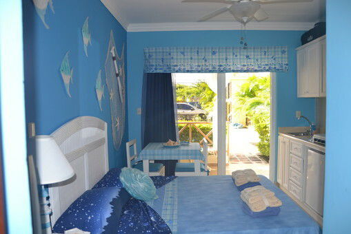 Estudio Independiente Dominicus 81545