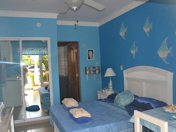 Logement Entier Dominicus 81545-6