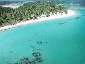 Logement Entier Dominicus 81545-10