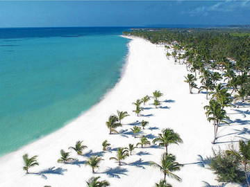 Logement Entier Dominicus 81545-11