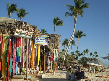 Logement Entier Dominicus 81545-12