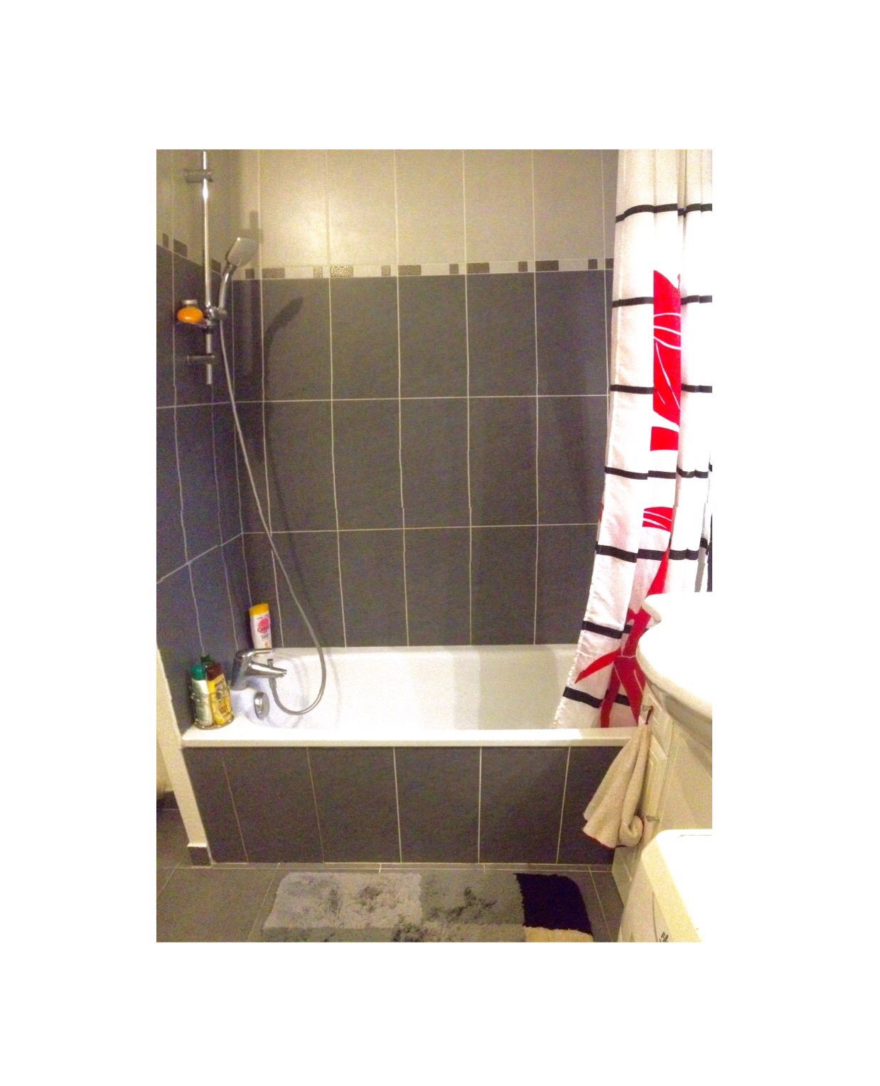 Homestay Bayonne 109151