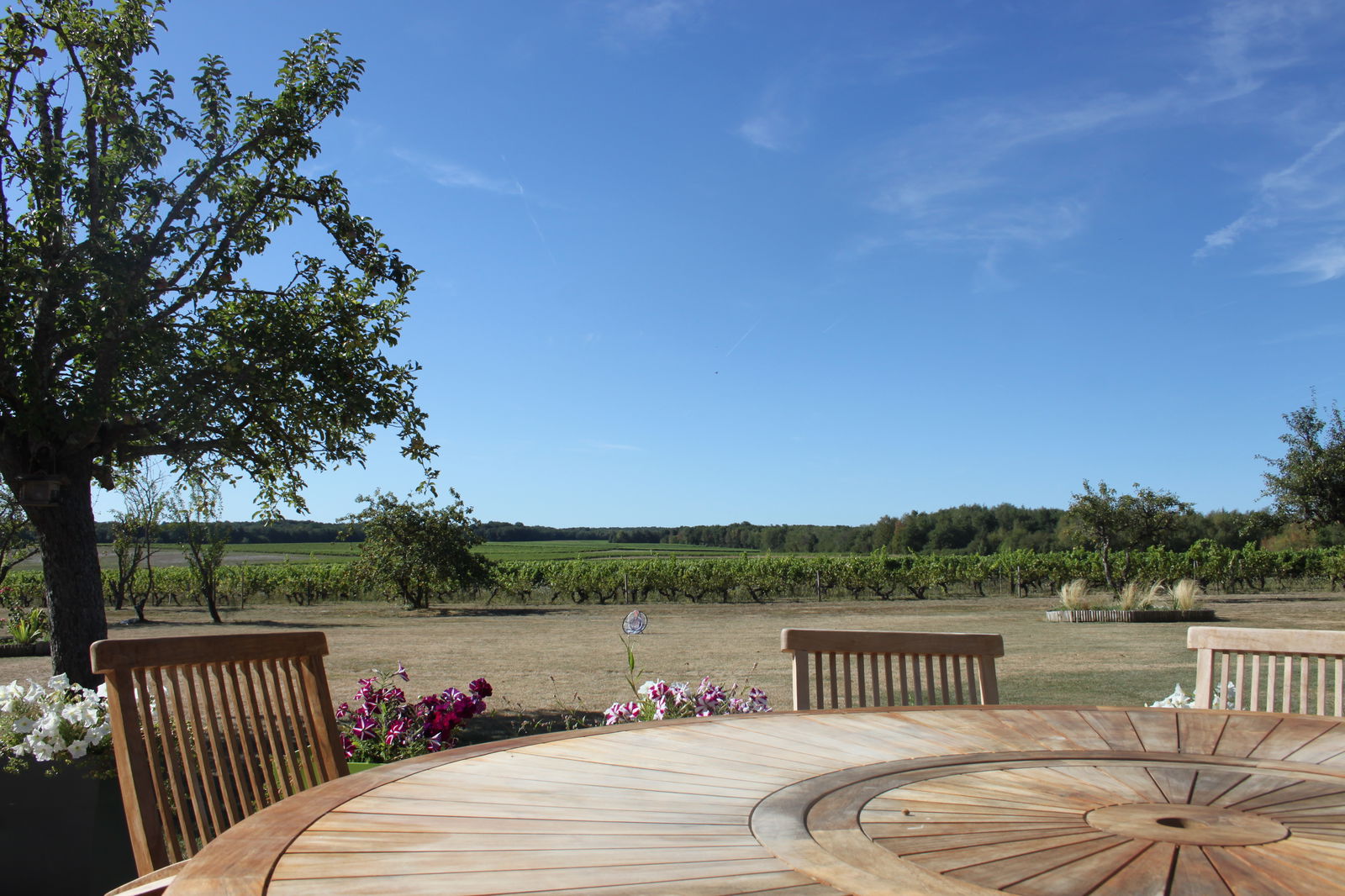 Homestay Pouillé 219326