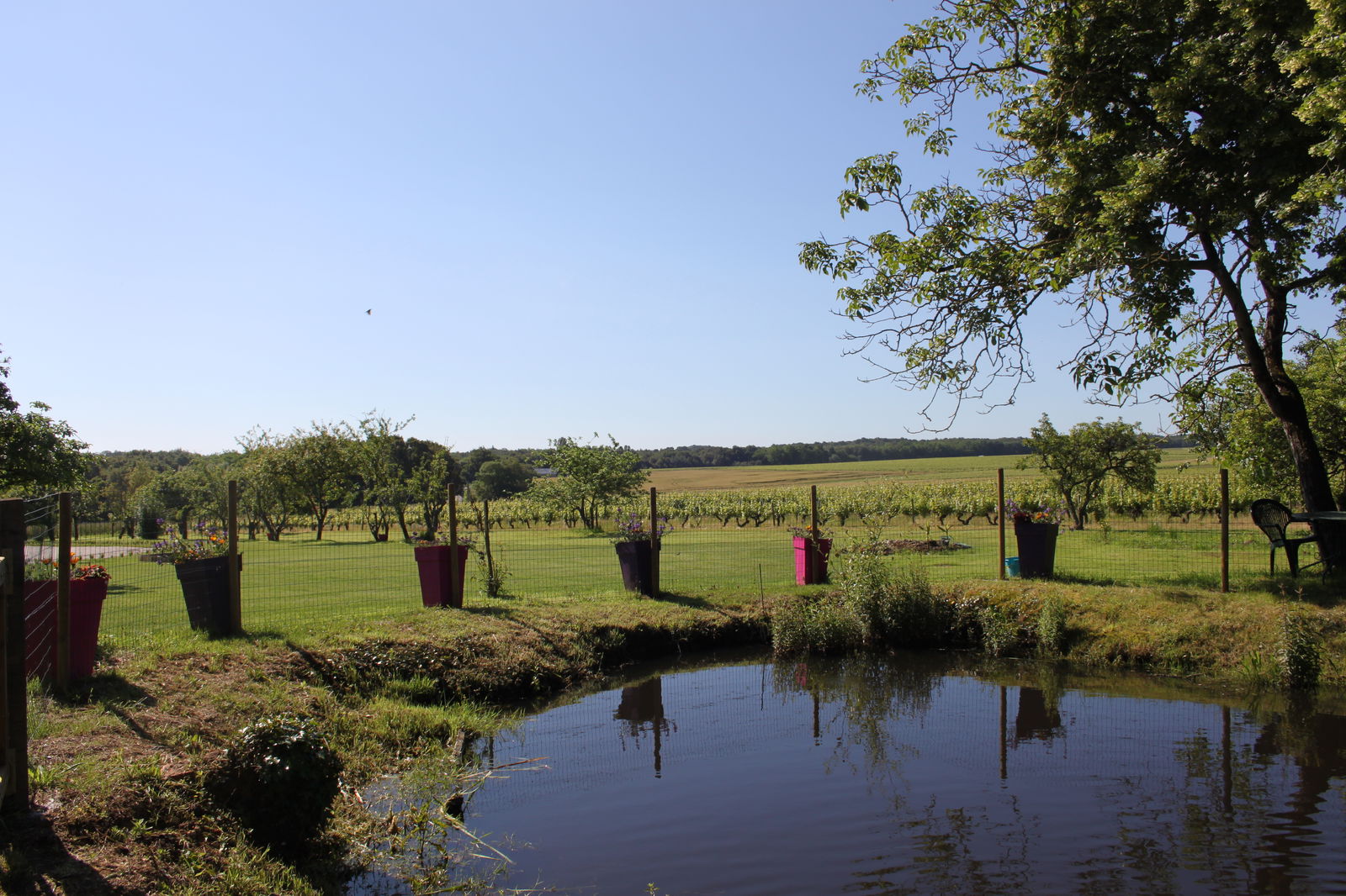 Homestay Pouillé 219326