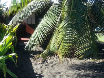 Chambre Chez L'habitant Tahiti 74299-7