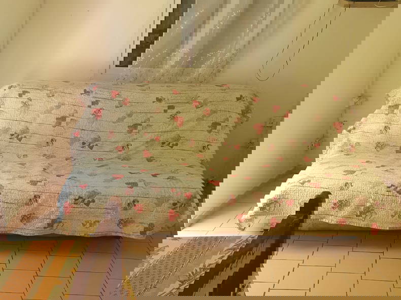 Logement Entier Trois-Rivières 392284-3