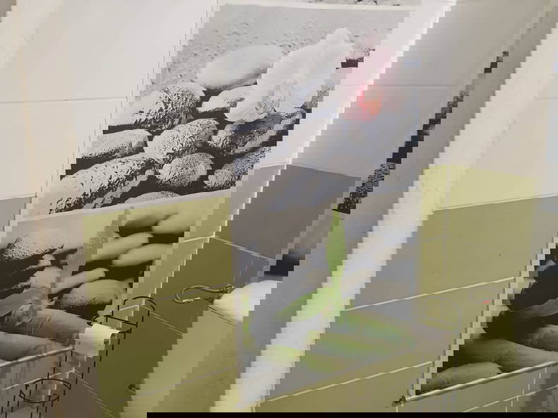 Logement Entier Trois-Rivières 392284-4