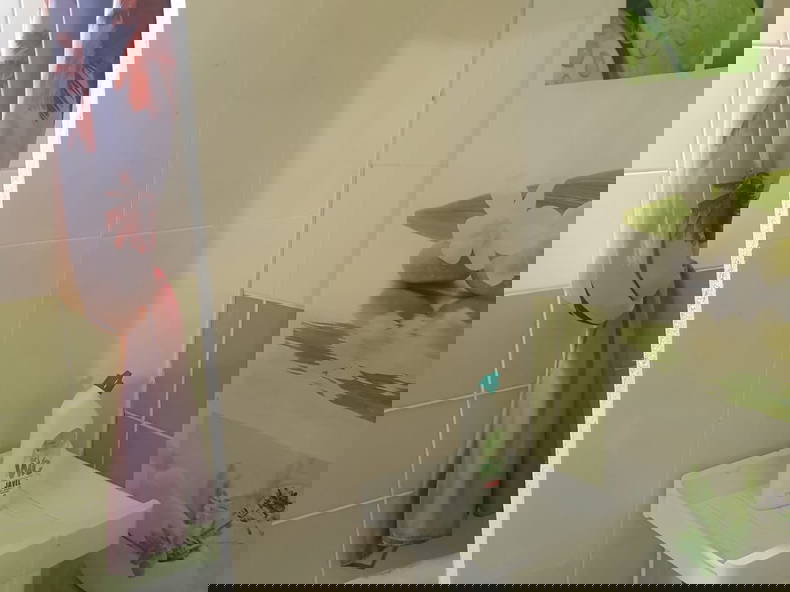 Logement Entier Trois-Rivières 392284-5