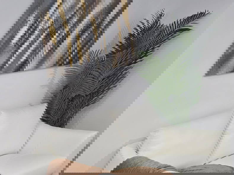 Colocatie Trois-Rivières 473719-1