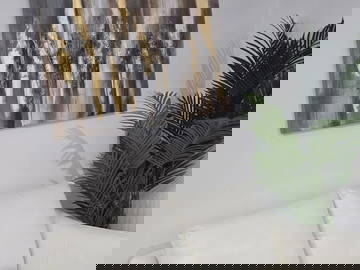 Shared Accommodation Trois-Rivières 473719-8