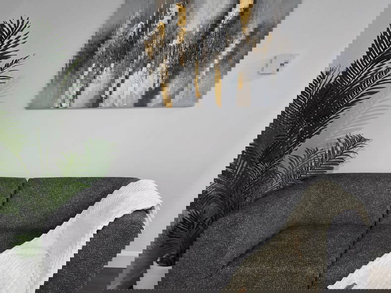 Kolokasie Trois-Rivières 649321-2