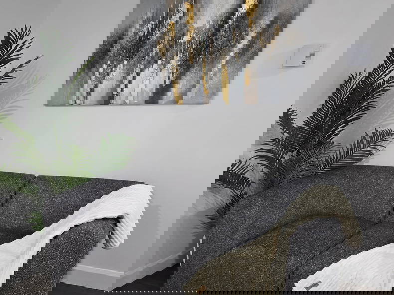 Kolokasie Trois-Rivières 649321-3