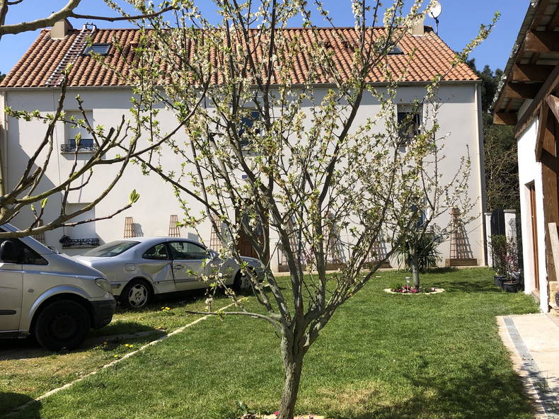 Colocation Nantes 63045-3