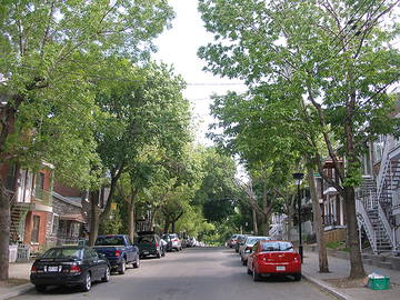 Logement Entier Montréal 216315-11