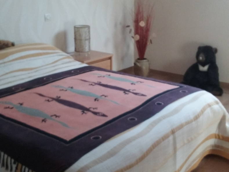 Homestay Sargé-lès-le-Mans 170023-2