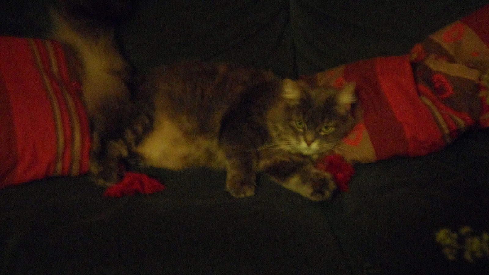 Homestay Vanves 22000