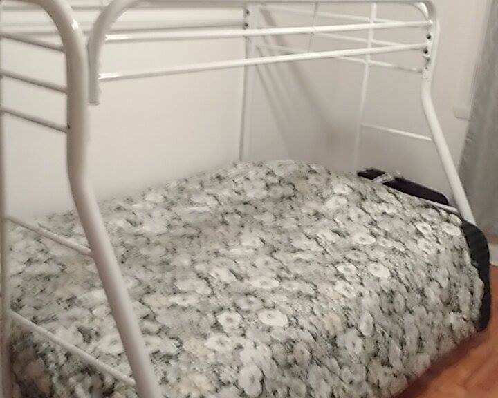 Homestay Montréal 118033