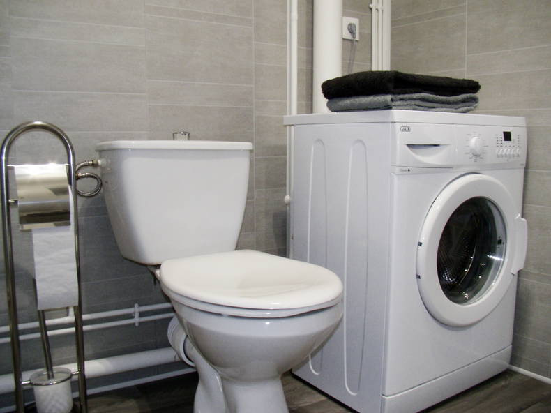 Ganzes Haus Troyes 132966-4